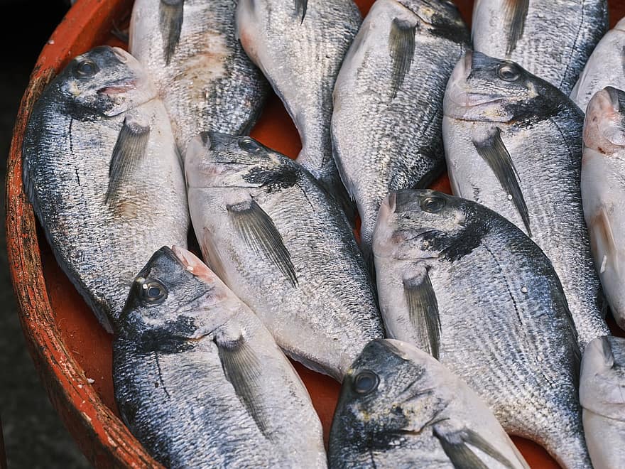 cá, thị trường, Hải sản, món ăn, thô, tươi, động vật, Chợ cá tươi sống, chất đạm
