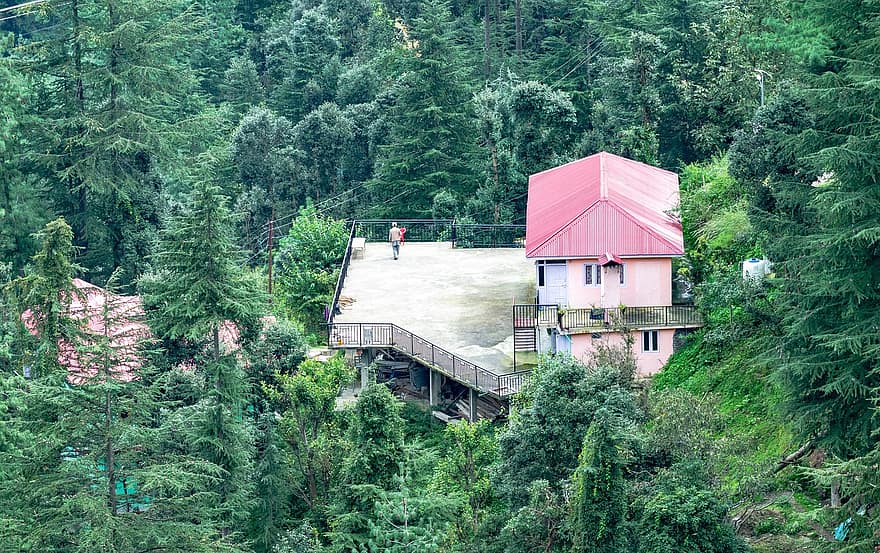 Mountain, House, Forest, Nature, Trees, Residential Property, Estate