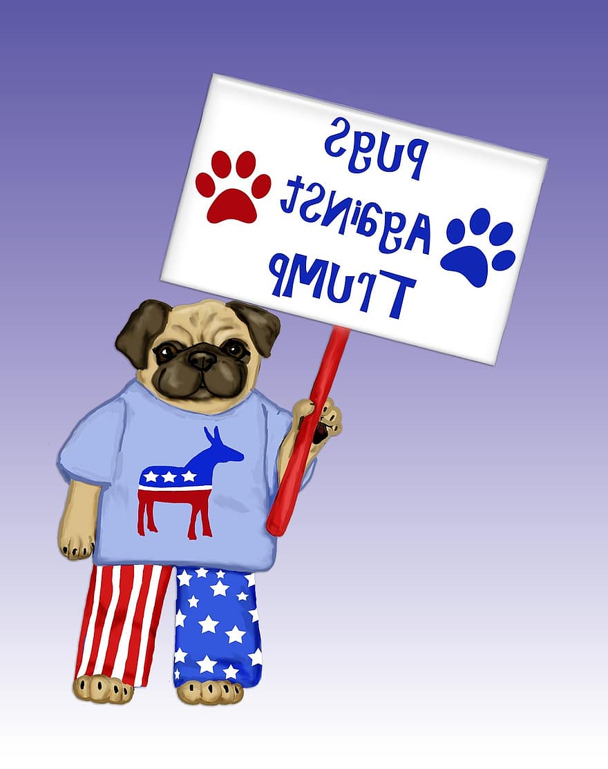 Pug, Pet, Dog, Cute, Funny, Pugs Against Trump, Trump