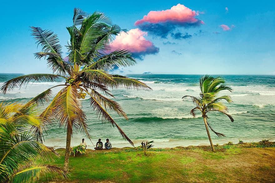 Sky, Background, Wallpaper, Travels, Ocean, Island, Sea, Beach, Palm Trees, Lankans, Ceylon
