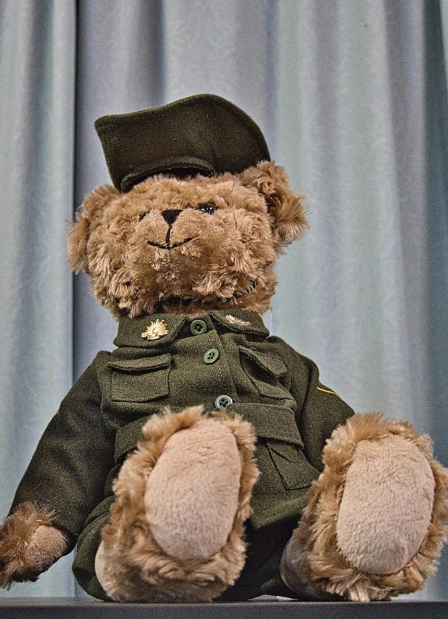 urso Teddy, graduado, uniforme, presente