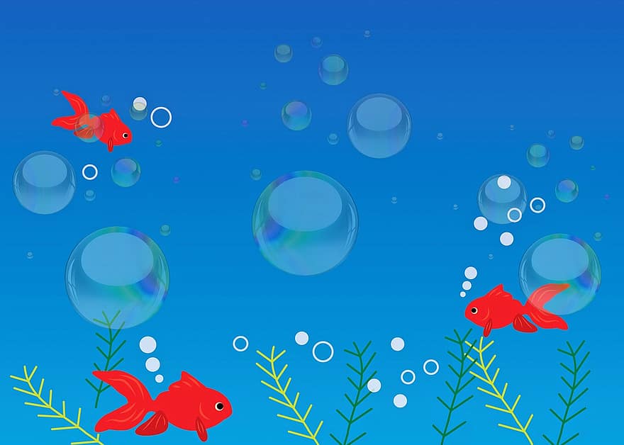 zemūdens fons, ūdens, zivis, burbuļi, zelta zivtiņa, koi zivis, zem ūdens, okeāns, fantāzija, akvārijs, jūras