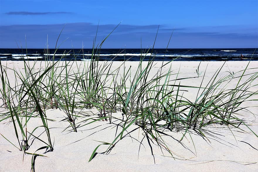 ngày cuối tuần, bờ biển, biển Baltic, cát, cỏ, ngày lễ, Thiên nhiên, bầu trời, màu xanh da trời, thiên đường, nghỉ ngơi