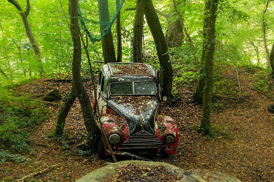 mașină antică, mașină abandonată, pădure, mașină, transport, vehiculul terestru, viteză, sportiv, vehicul off-road, aventură, vechi