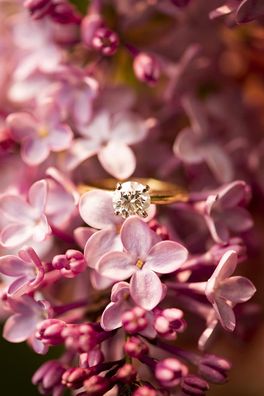 бузковий, кільце, квіти, обручку, Діамантовий перстень, Золоте кільце, прикраси, бутони, цвітіння