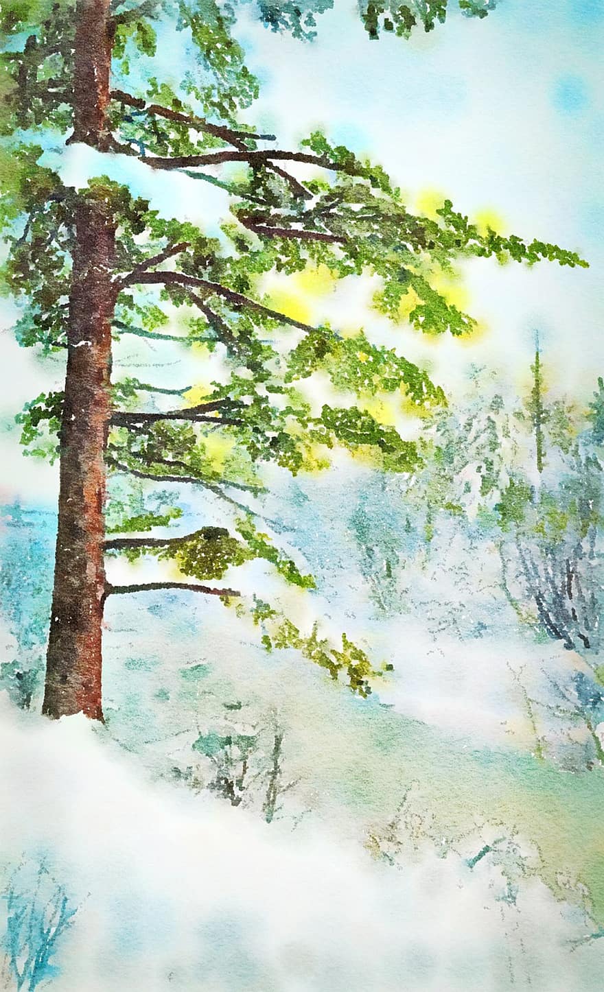 гора, дървета, гориста местност, сняг, снежно, неприветлив, лед, студ, зима, природа, Коледа