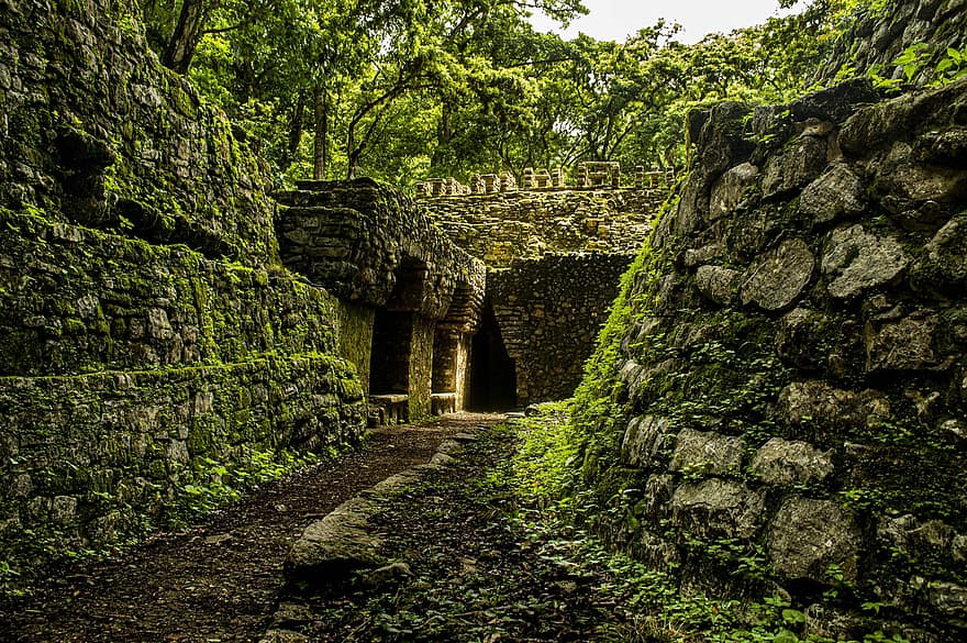 ruiny, architektura, Příroda, les, džungle, listy, skály, aztécký