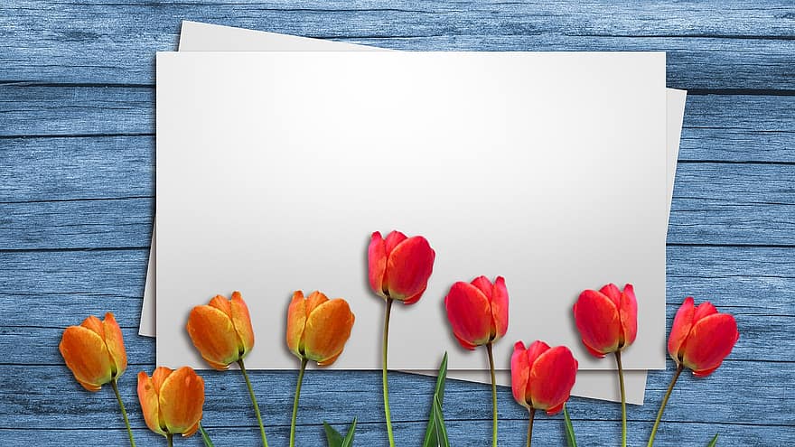 Tulips, Flowers, Petals, Template, Blank, Design, Banner, Background, Paper, Element, Holiday