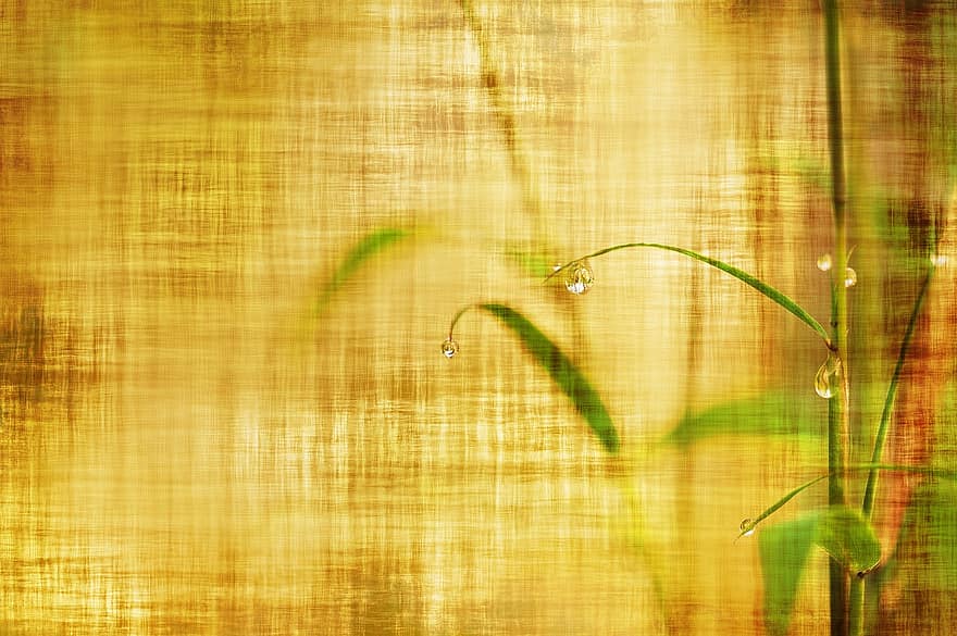 Bamboo, Stationery, Wallpaper, Background, Leaves, Branch, Bokeh, Paper, Grunge, Vintage, Texture
