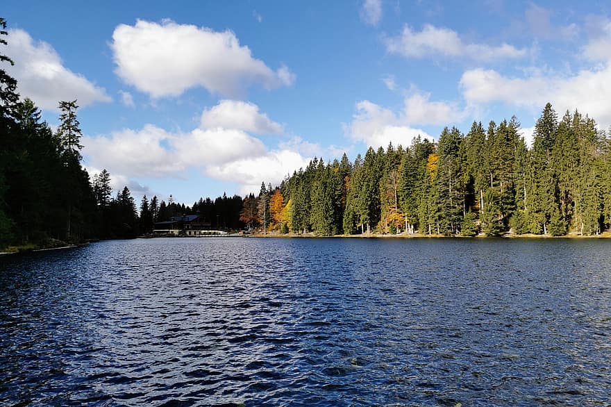 grande lago d'argento, foresta bavarese, grande arber, foresta, lago, autunno, Eisenstein bavarese, natura, Baviera, Germania, paesaggio
