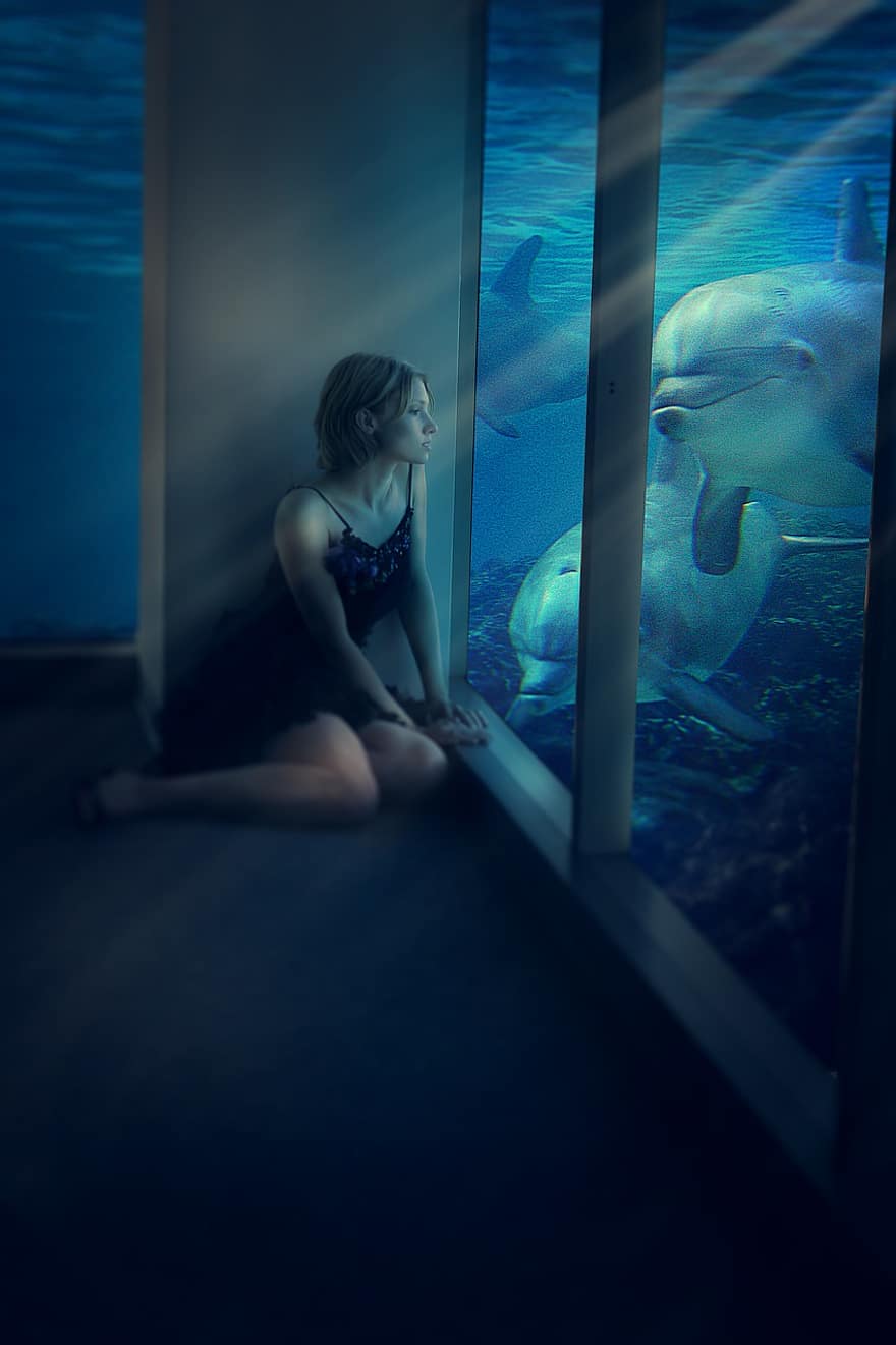 женщина, морской, животное, модель, дельфин