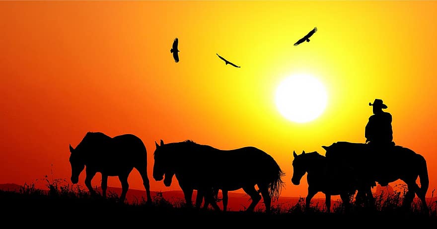 सूर्य का अस्त होना, प्रकृति, वेस्टर्न, घोड़ों, पक्षियों, मैदानी, सांझ, रंग, शाम