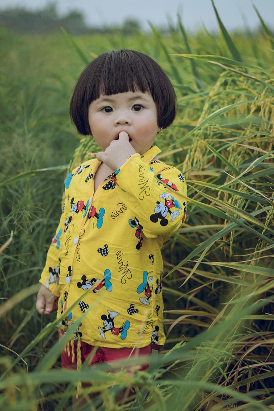 niñito, niño, campo de arroz, Asia, linda, hierba, verano, infancia, una persona, alegre, sonriente