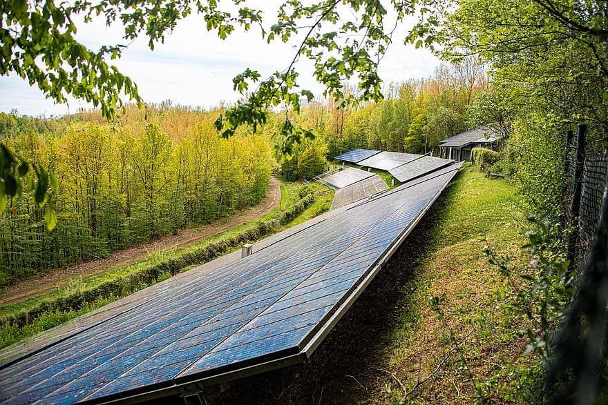 paneles solares, bosque, prado, tecnología, fotovoltaica, sistema solar, energía, Transición energética, energía alternativa, ambiente, al aire libre