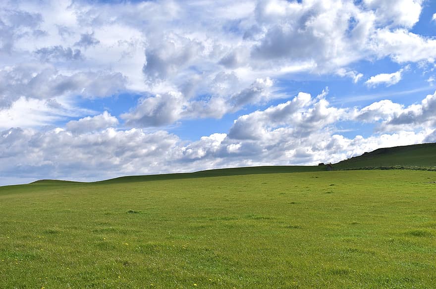 поле, трева, природа, пейзаж, небе, облаци, ливада, лято, селска сцена, зелен цвят, син