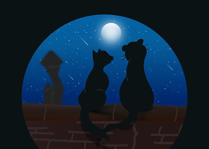 kediler, luna, romantik, Aşk, gece, vektör, örnekleme, karanlık, siluet, ev kedisi, arka