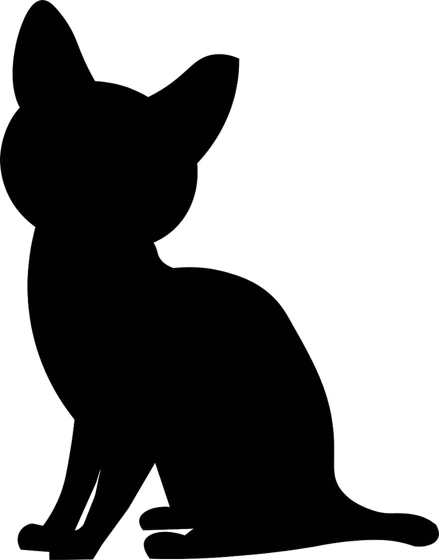 chat, animal, silhouette, noir, animal de compagnie, chat domestique, félin