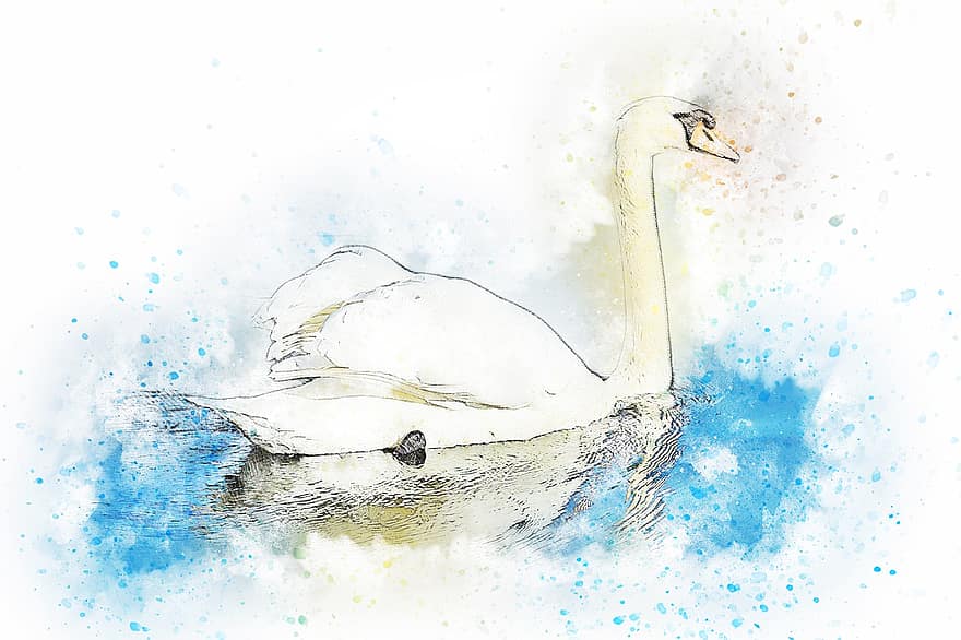 Swan, Water, Bird, Art, Abstract, Watercolor, Vintage, Nature, Animal, Artistic, Design