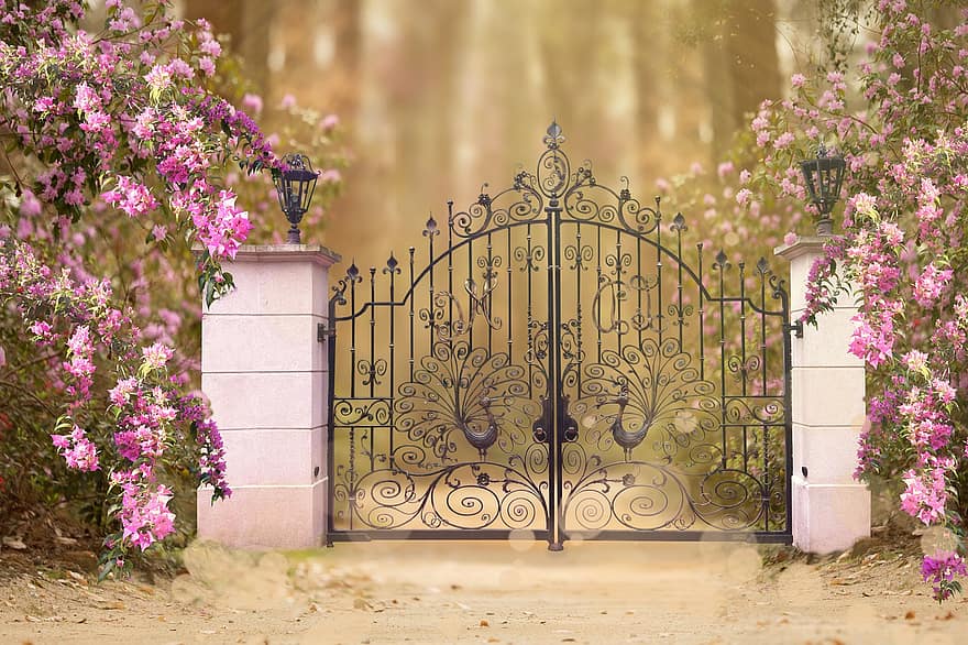 ограда, цветя, градина, растения, градинарство, розов, порт, цвете, растение, архитектура, метал