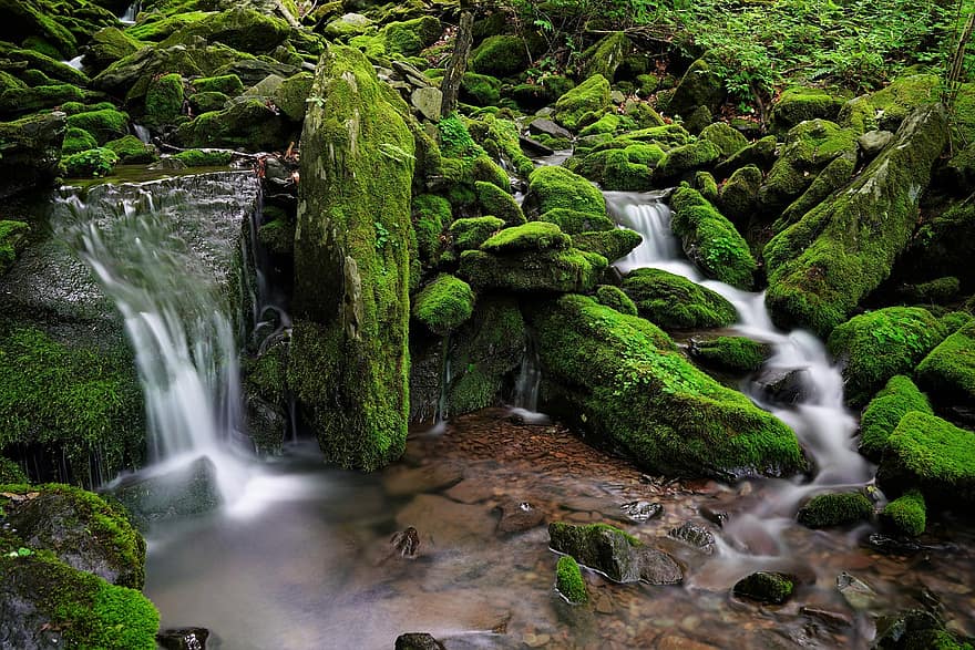 Waterfall, Moss, Korea, Mountain, Valley, Green, Forest, Tree, Clean, Cool, Brook