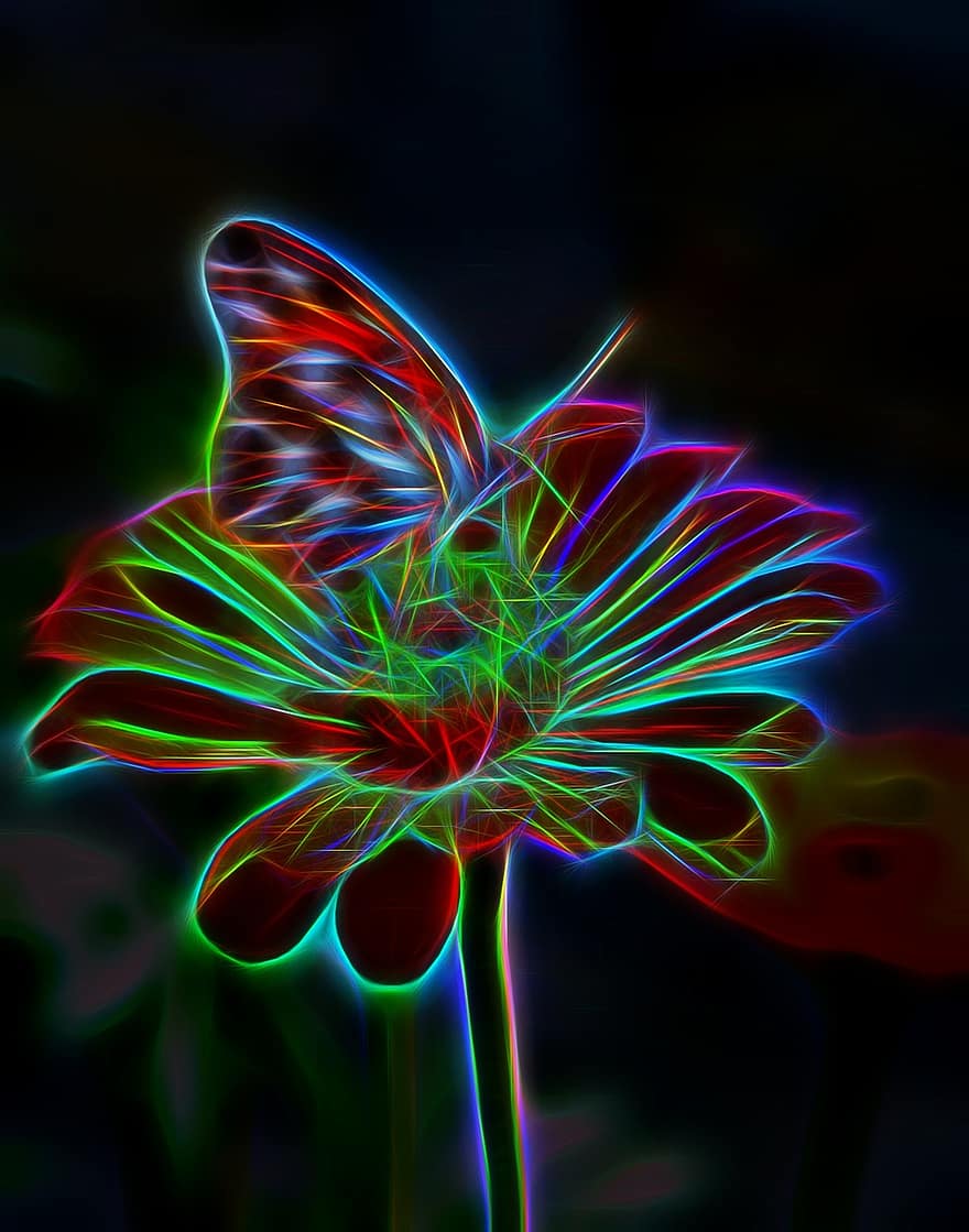 kwiat, motyl, światło, efekt, jasny, projekt, zasłona, kolor, wzór, błyszczący, blask