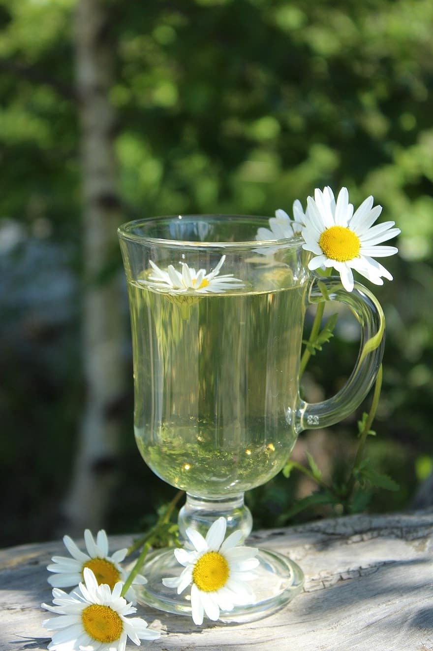 hoa cúc, uống, cốc thủy tinh, những bông hoa, trà, giải khát, đồ uống, cốc, mùa hè, bông hoa, màu xanh lục