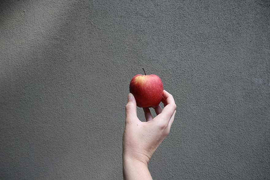 яблоко, фрукты, рука, питание, свежий, здоровый, созревший, органический, милая