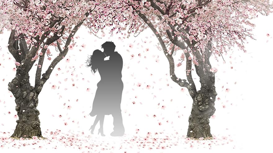 doğa, bahar, pembe, çiçek, ağaç, şube, yaprakları, Sevgililer Günü, öpmek, St Valentine, öpüşmek