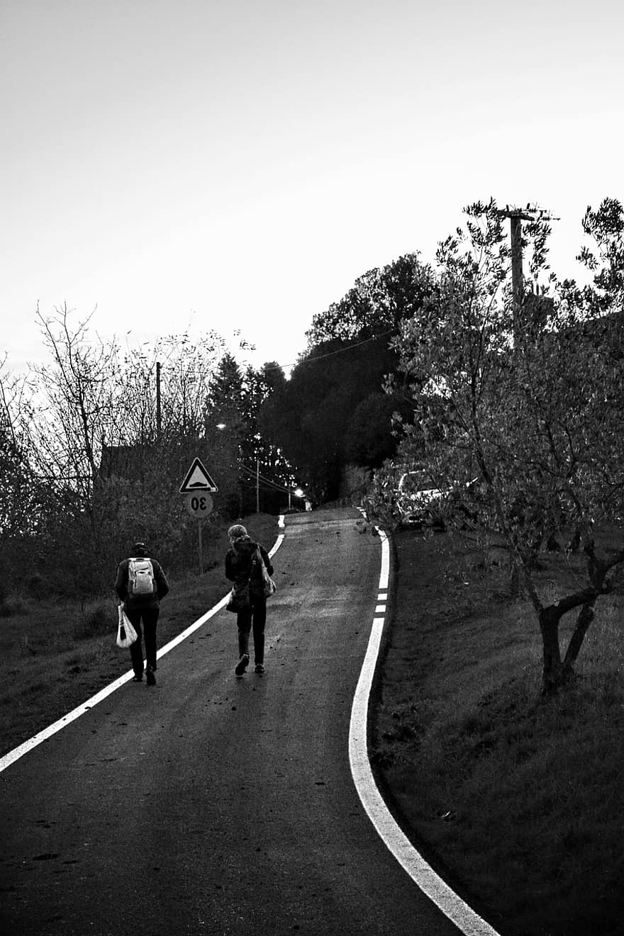 δρόμος, ταξίδι, μονόχρωμος, άνδρες, μαύρο και άσπρο, δέντρο, το περπάτημα, γυναίκες, αγροτική σκηνή, ενήλικος, δύο