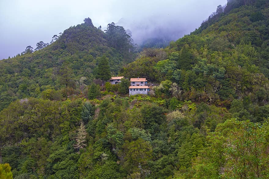 namas, kalnai, rūkas, miškas, Madeira