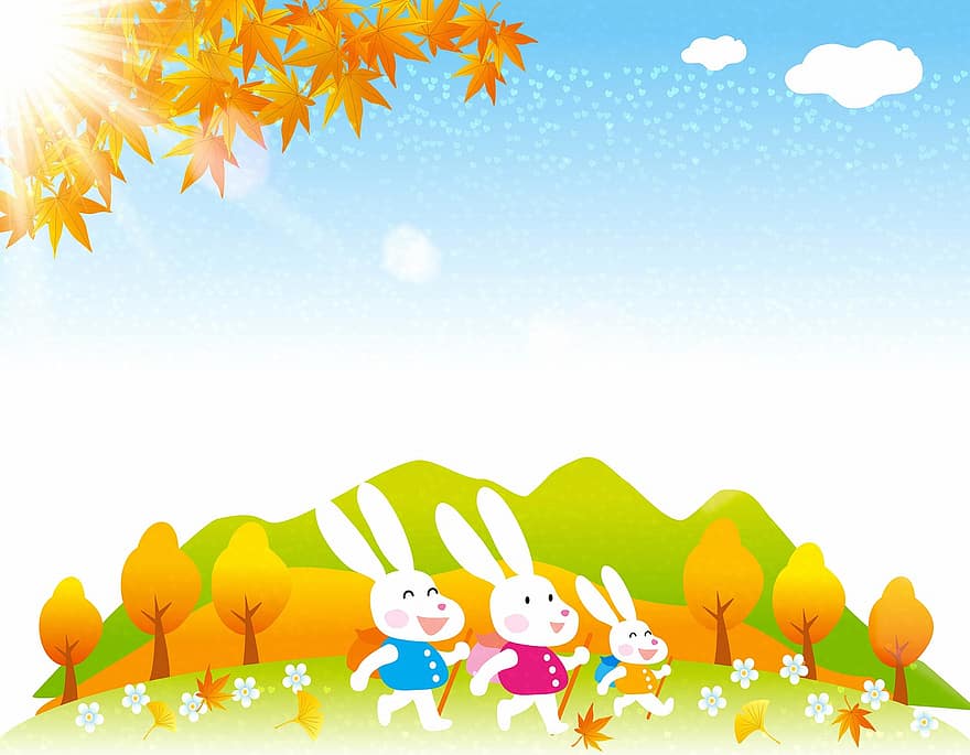 fondo de otoño, Familia de conejos caminando, otoño, natural, madera, hojas, vistoso, naturaleza, hoja, bosque, octubre