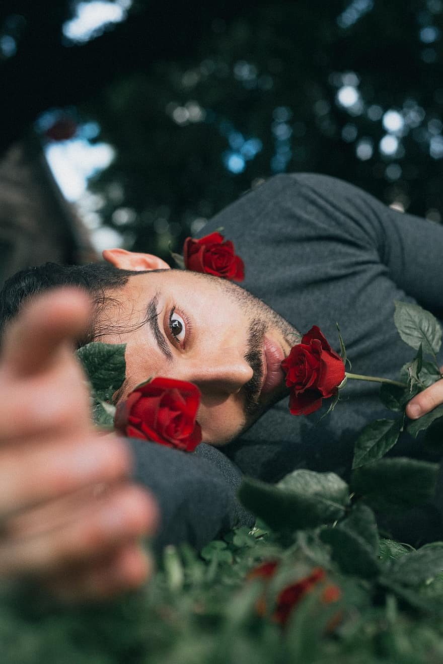 Man, Roses, Portrait, Flowers, Outdoors, men, adult, romance, love, dating, one person