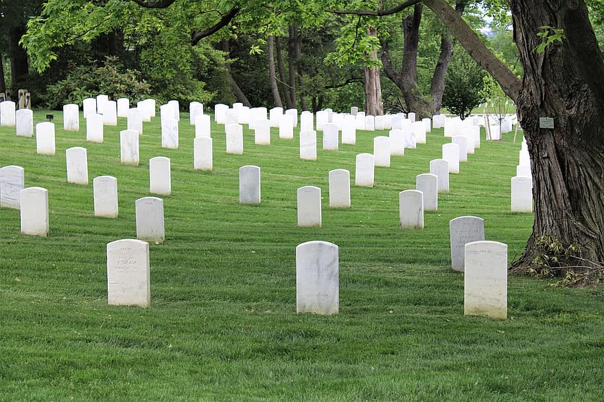 νεκροταφείο, ταφόπλακες, Ουάσιγκτον, μνημείο, μνημεία, τοπίο, θάνατος, σιωπή, ειρήνη