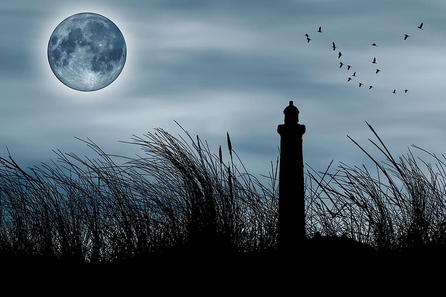 маяк, фантазія, повний місяць, навколишнє середовище, природи, силует, далекий, сутінки, трави, чайки