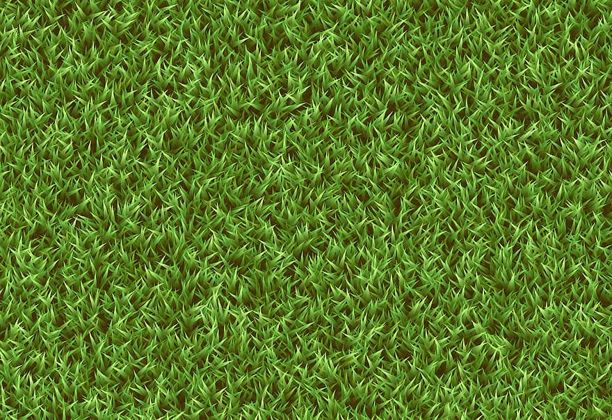 Grass, Lawn, Garde, Surface, Texture, Decoration