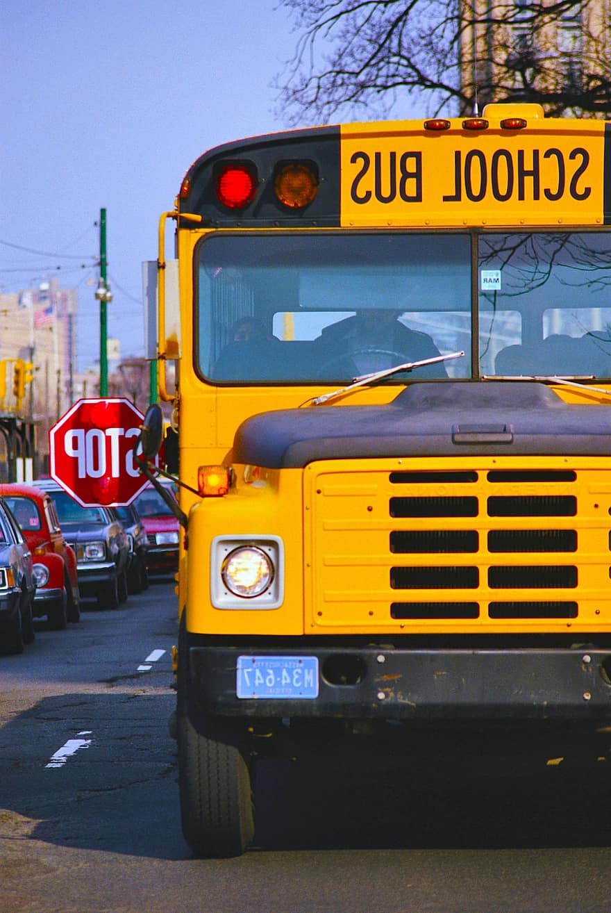 bus sekolah, kuning, mengangkut, sekolah, Amerika Serikat, pendidikan, lalu lintas, jalan