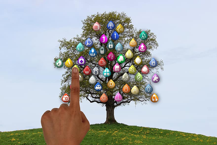 árvore, estrutura, redes, mão, dedo, tocar, Internet, rede, social, rede social, logotipo