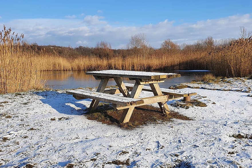 Bench, Pond, Winter, Park, Reed, Grasses, Snow, Cold, Wintry, Recreation Area, Wienerberg Pond