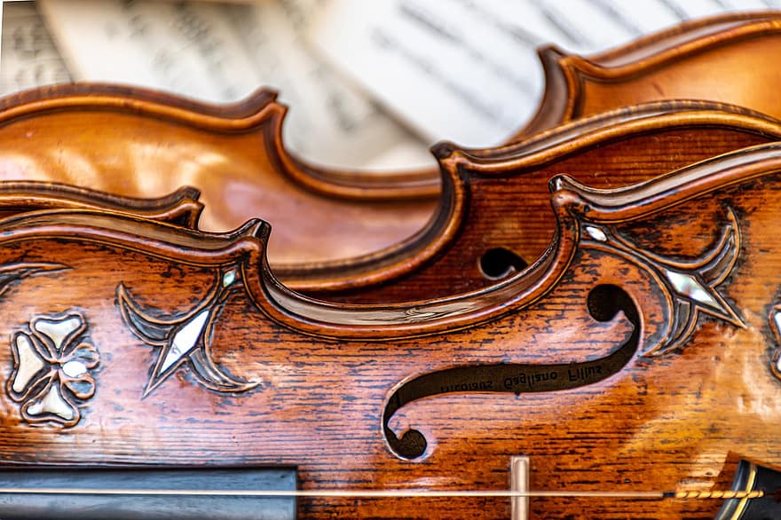 Violin, Viola, Vintage Violins, Old Violins, Music World, Music Background, Sounds Of Music, Cello, Music In The Air, Violin Strings, Violin Curves