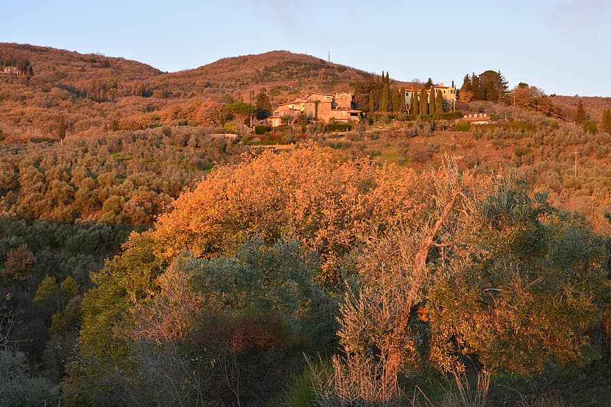villa, bomen, heuvel, zonsondergang, landgoed, schemer, landelijk, platteland, Florence, Toscane, boom