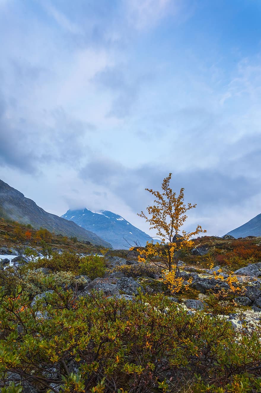 Jotunheimen, Nationaal Park, Galdhøpiggen, Noorwegen, landschap, berg-, wandelen, natuur, stroom, zomer, bergen