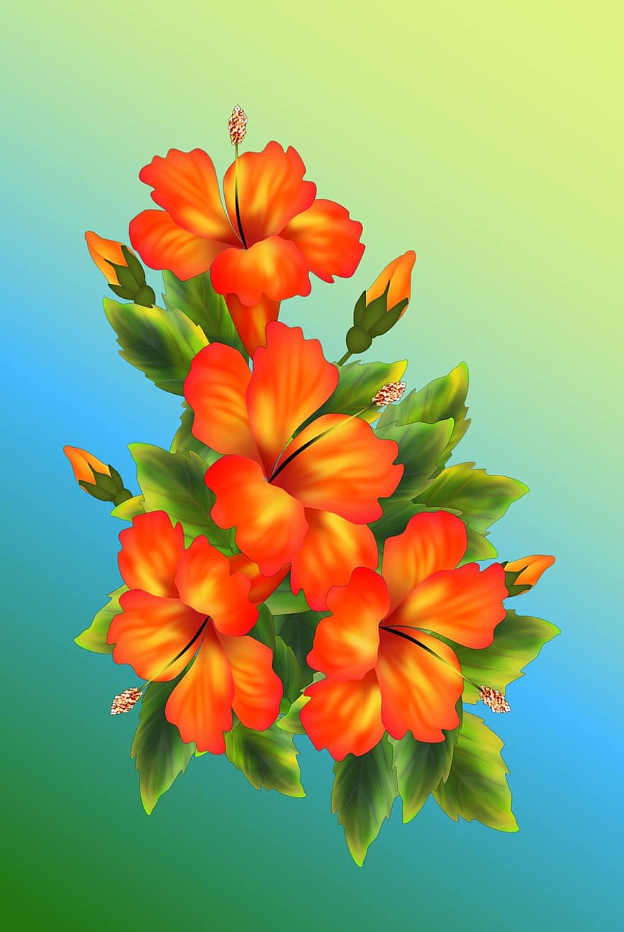 blommor, design, blommig, konst, mönster, ritning, hawaiiblomst, orange