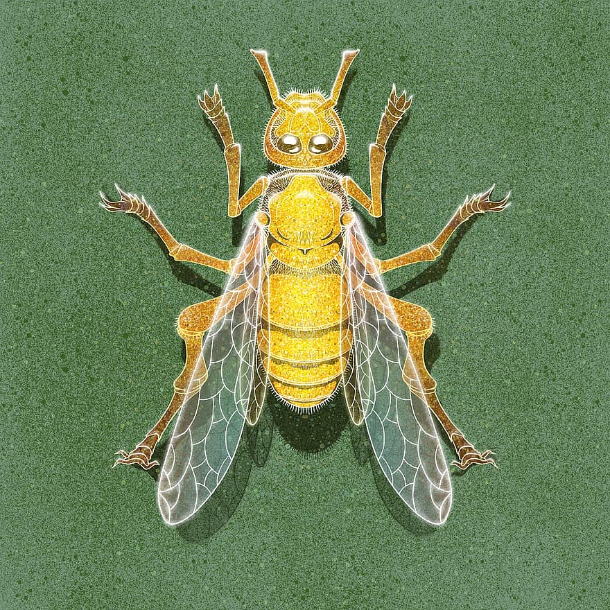 Hornet, Bee, Insect, Animal, Wings, Creativity, Painting, Drawing, Art, Bees, Sky