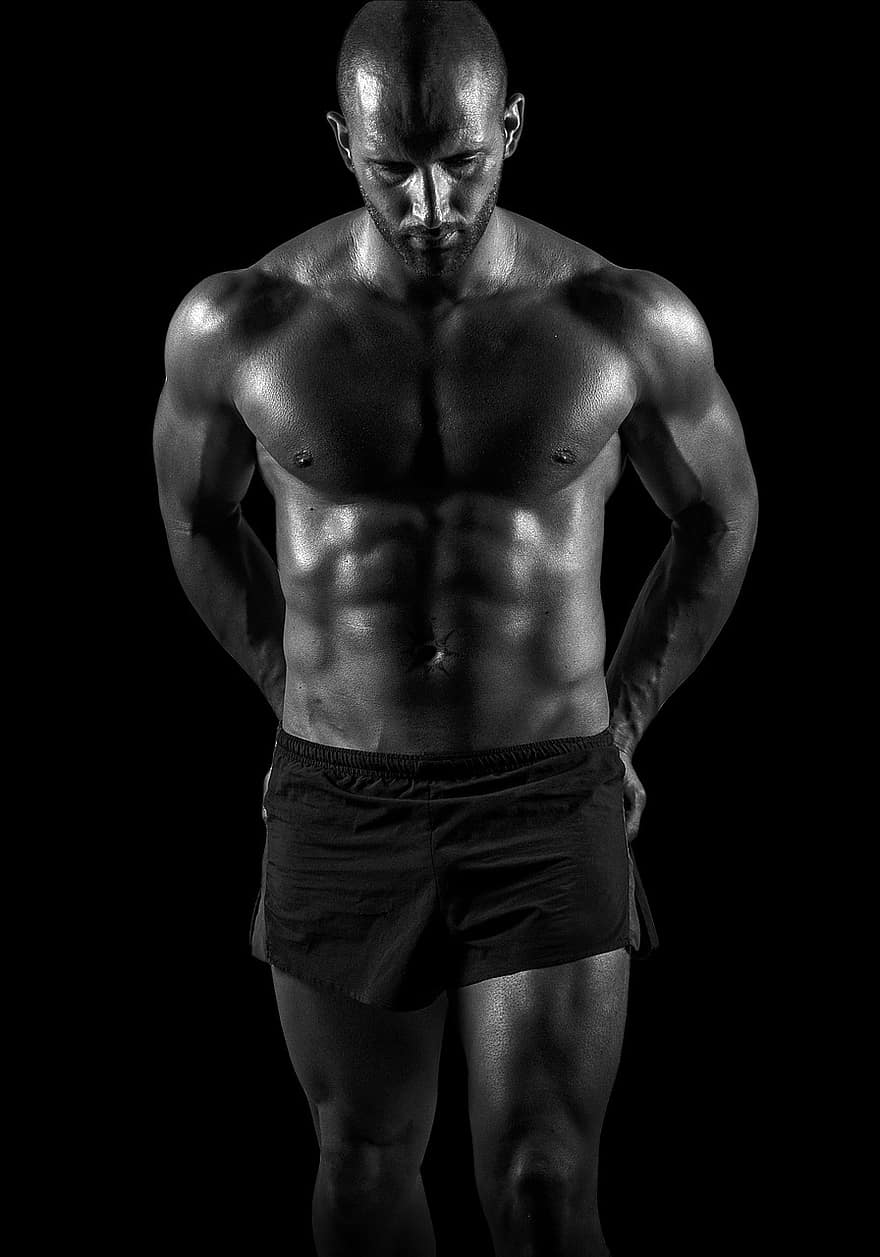 mand, muskuløs, legeme, bodybuilder, abs, passe, atlet, stærk, fyr, han-, model