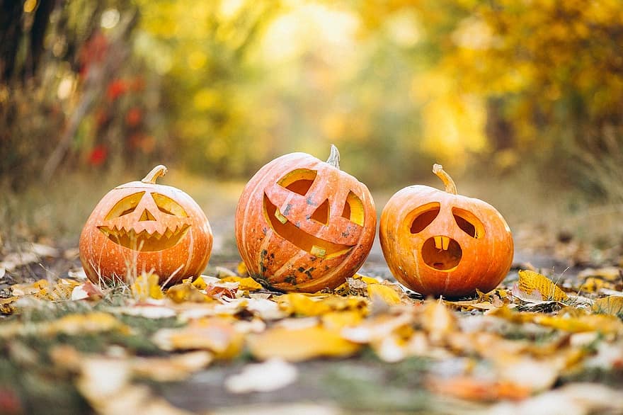 carbassa, Halloween, tradició