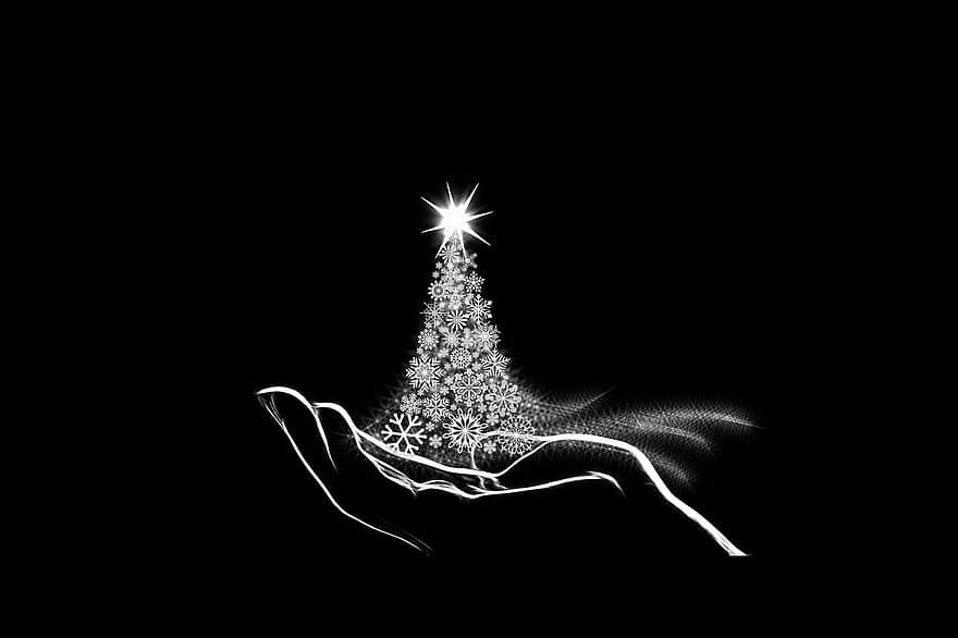 Nadal, estrella, brillantor, llums, llum, cristall de gel, floc de neu, mà, presentació, advent, decoracions d’arbres