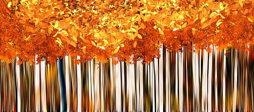 падане, есен, заден план, жълт, природа, оранжев, сезон, листа, дърво, цвят, цветен