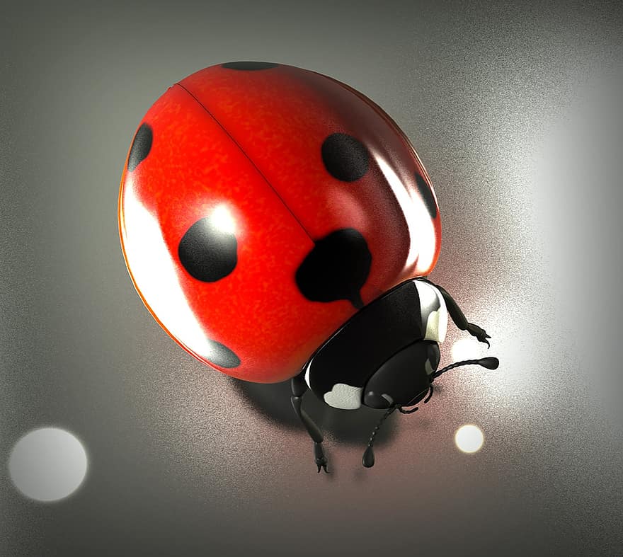 Lucky Ladybug, Luck, Ladybug, Beetle, Lucky Charm, Nature, Insect, 3d, Rendering, Occlusion, Raydiosity