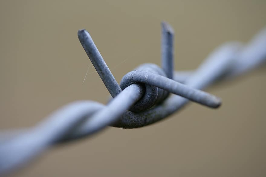 Barbed Wire, Wire, Metal, Structure
