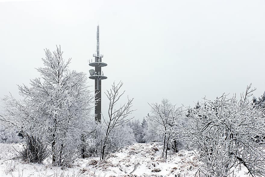neige, hiver, la tour, des arbres, forêt, tour de radio, tour de télécommunication, cellulaire, saison, arbre, la glace
